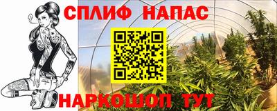 кокс Донской