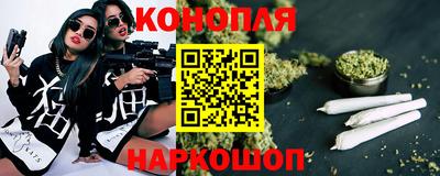 кокс Донской