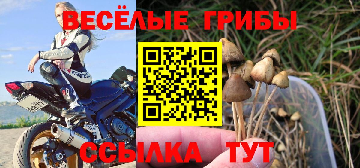 Псилоцибиновые грибы мухоморы  Галлюциногенные грибы Psilocybine cubensis  Вход с VPN  наркота  Миасс 