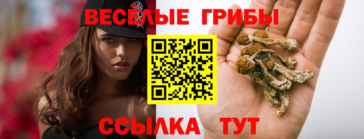 Галлюциногенные грибы мицелий Миасс